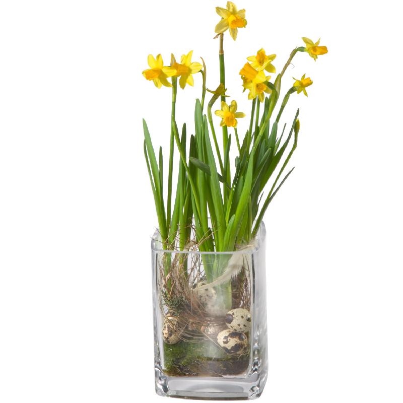 Bouquet de fleurs Spring Greeting (incl. vase)
