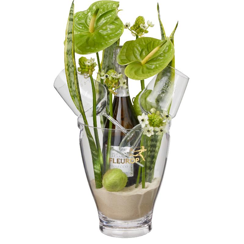 Bouquet de fleurs Exotic Paradise: Prosecco Albino Armani DOC (75 cl) incl. ic Bouquet de fleurs Exotic Paradise: Prosecco Albino Armani DOC (75 cl) incl. ic