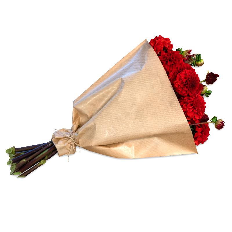 Bouquet de fleurs Bundle of red Dahlias