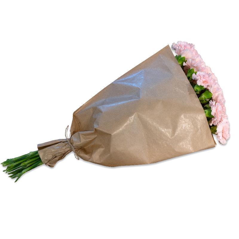 Bouquet de fleurs Bundle of pink Carnations