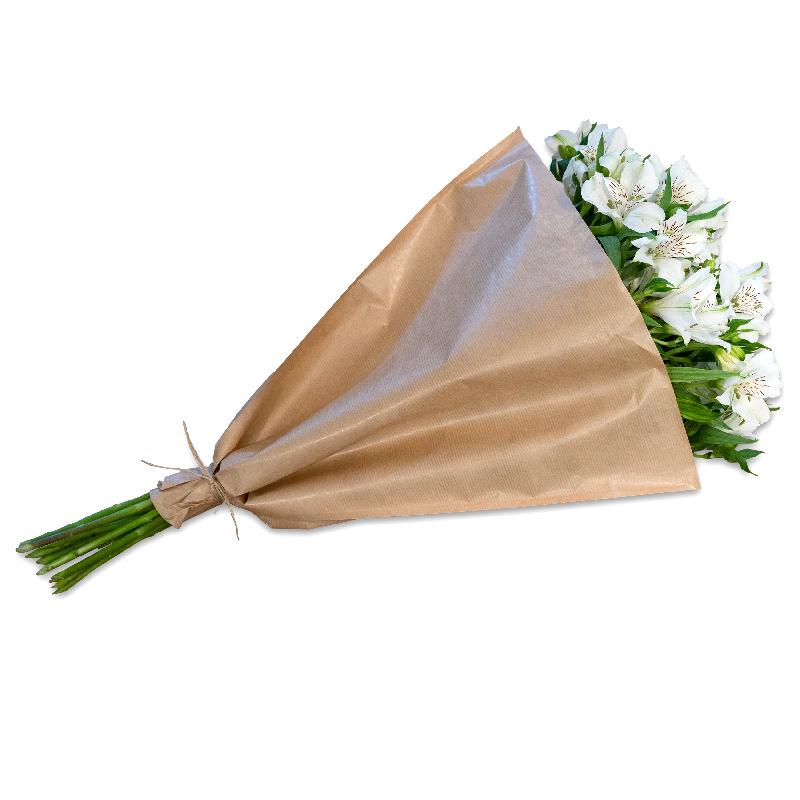 Bouquet de fleurs Bundle of white Alstroemeria Bouquet de fleurs Bundle of white Alstroemeria