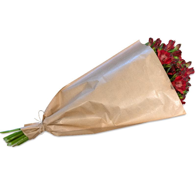Bouquet de fleurs Bundle of red Alstroemeria Bouquet de fleurs Bundle of red Alstroemeria
