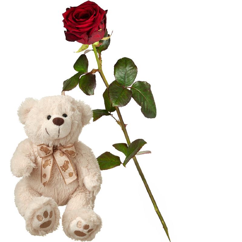 Bouquet de fleurs 1 Red Rose with teddy bear (white)