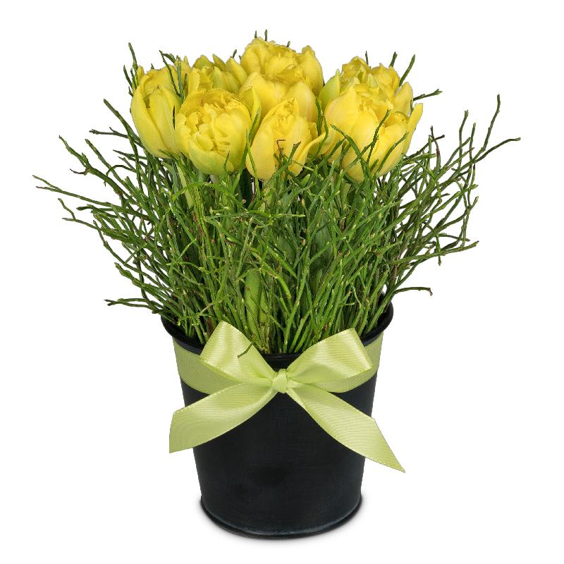 Bouquet de fleurs Spring-Hit (arrangement) Bouquet de fleurs Spring-Hit (arrangement)