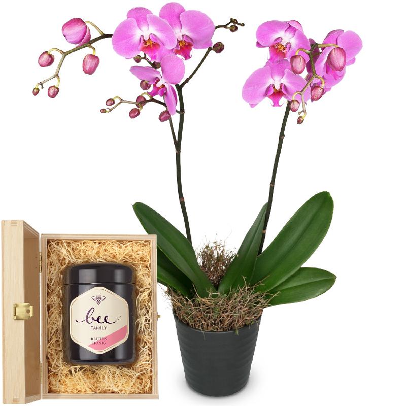 Bouquet de fleurs Pink Dream (orchid) with Swiss blossom honey
