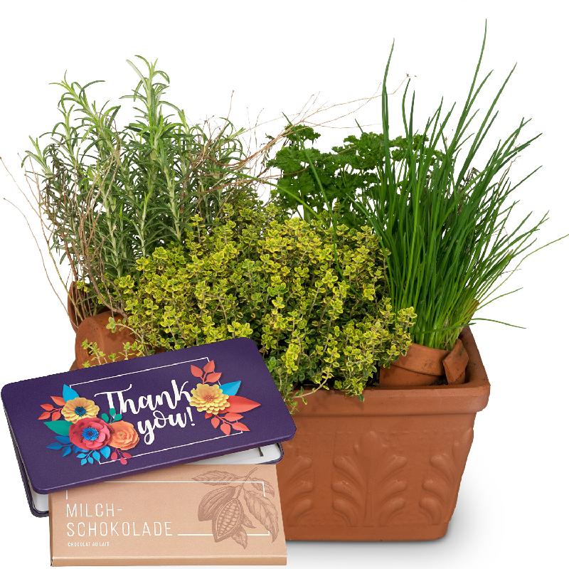 Bouquet de fleurs Herb Box with bar of chocolate «Thank you»