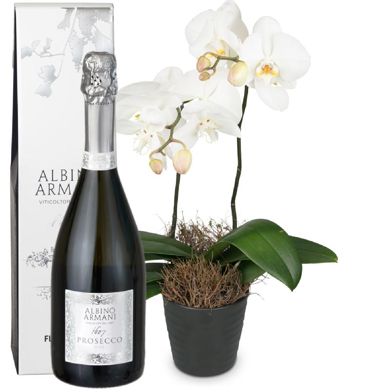 Bouquet de fleurs White Dream (orchid) with Prosecco Albino Armani DOC (75cl)