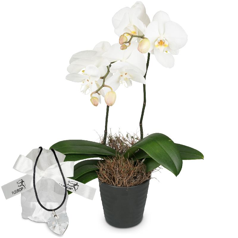 Bouquet de fleurs White Dream (orchid) with Swarovski® crystal heart