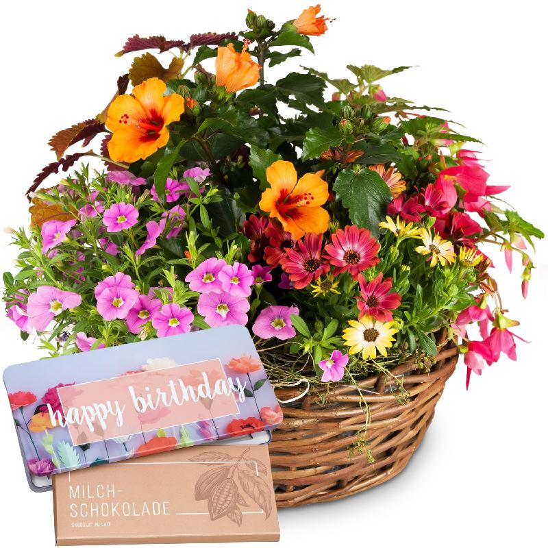 Bouquet de fleurs Delicate Summer Garden with Delicate Flowers with bar of cho
