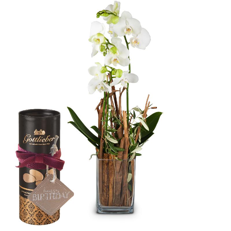 Bouquet de fleurs Enchantment (orchid with vase) with Gottlieber cocoa almonds