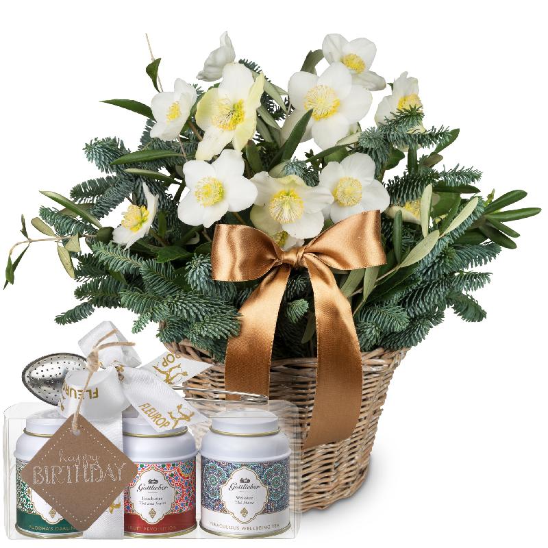 Bouquet de fleurs Ice Princess (Christmas rose), with Gottlieber tea gift set
