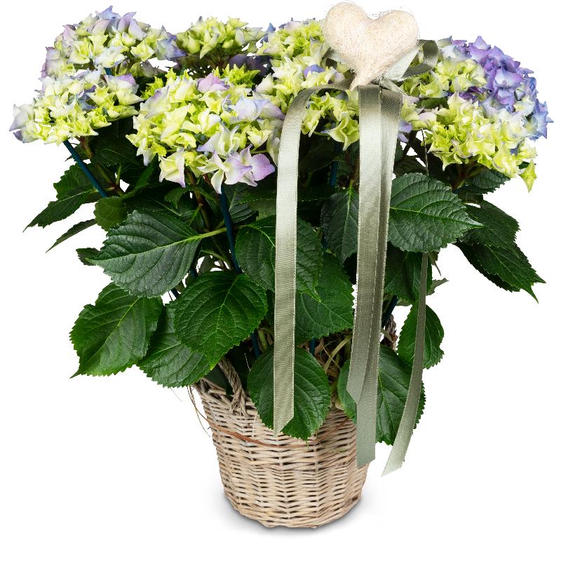 Bouquet de fleurs Romantic Vintage (blue hydrangea)