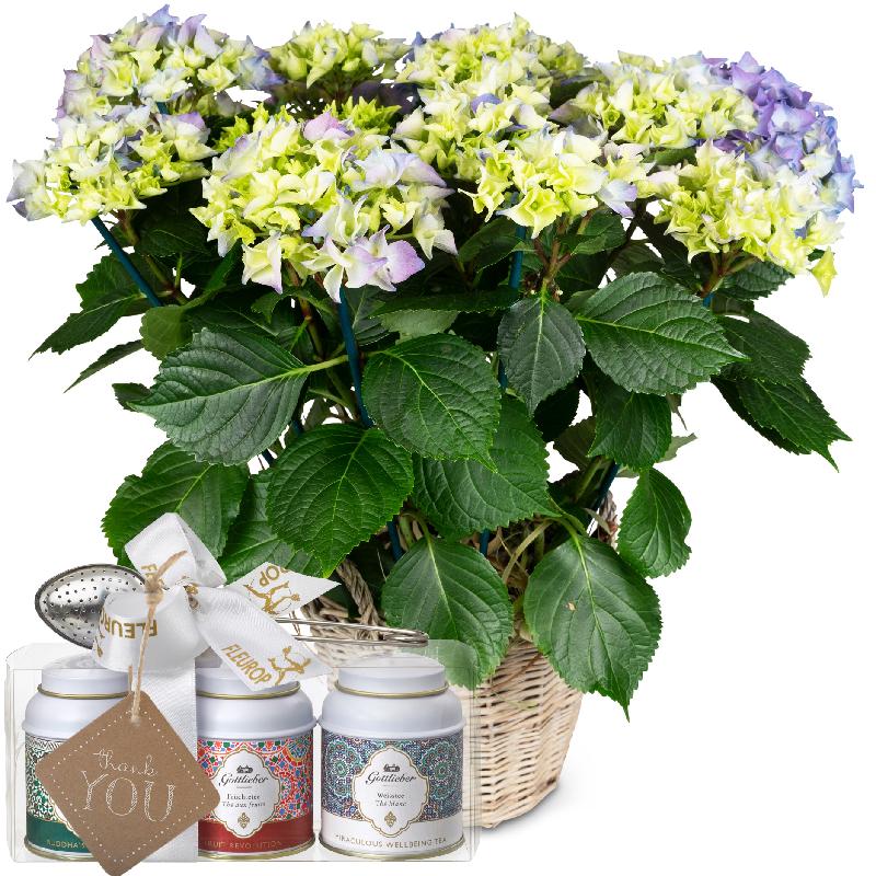 Bouquet de fleurs Vintage Charm (blue hydrangea) with Gottlieber tea gift set