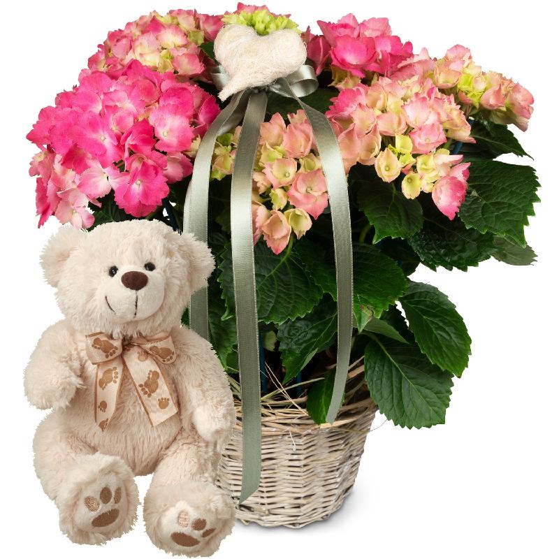 Bouquet de fleurs Romantic Vintage (pink hydrangea) and teddy bear (white)