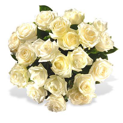 Bouquet de fleurs White Roses Bouquet de fleurs White Roses