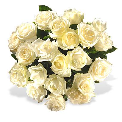 Bouquet de fleurs White Roses