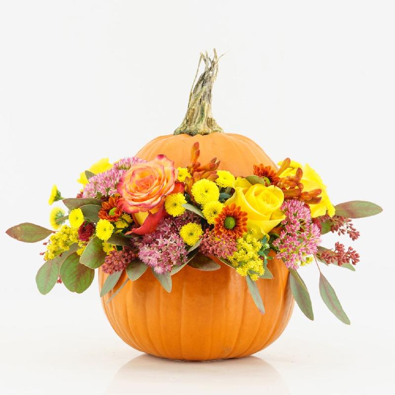 Bouquet de fleurs Pumpkin Burger Bouquet de fleurs Pumpkin Burger