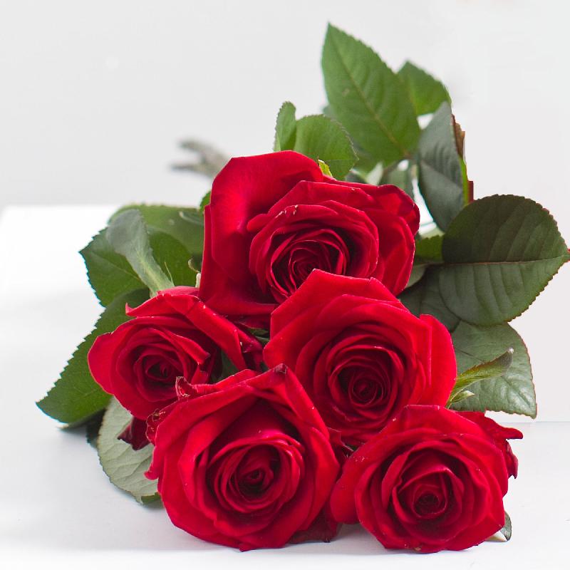 Bouquet de fleurs Bouquet of 5 Red Roses Bouquet de fleurs Bouquet of 5 Red Roses