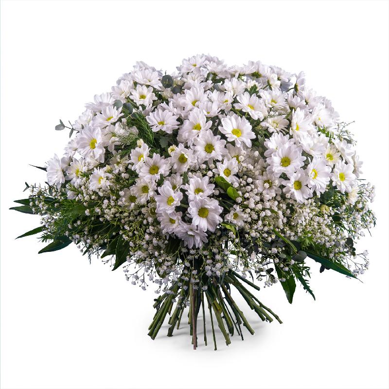 Bouquet de fleurs Bouquet of White Margaritte Daisies