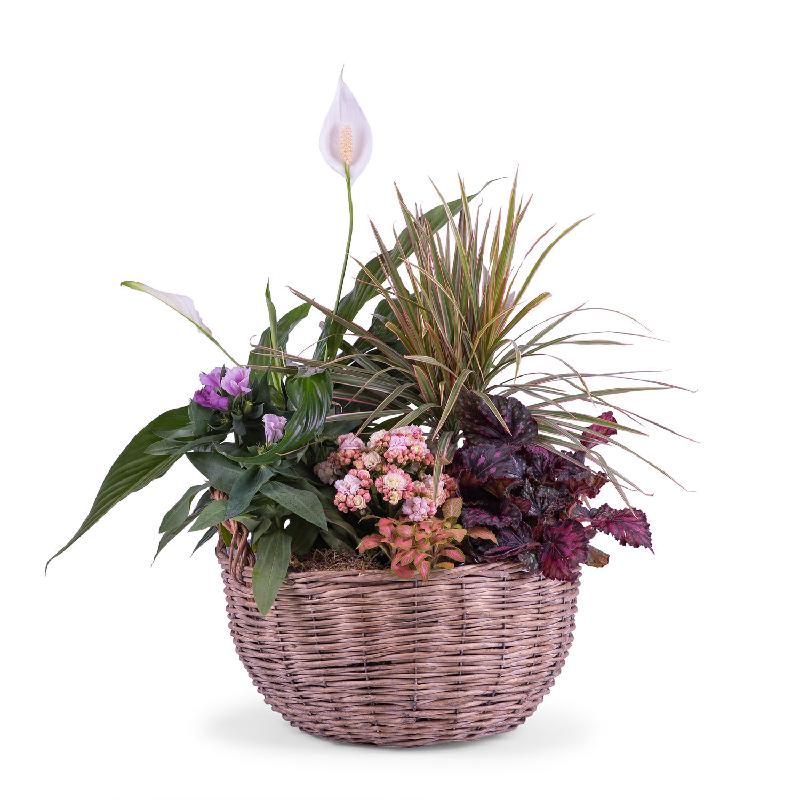Bouquet de fleurs Centrepiece of Mixed Plants