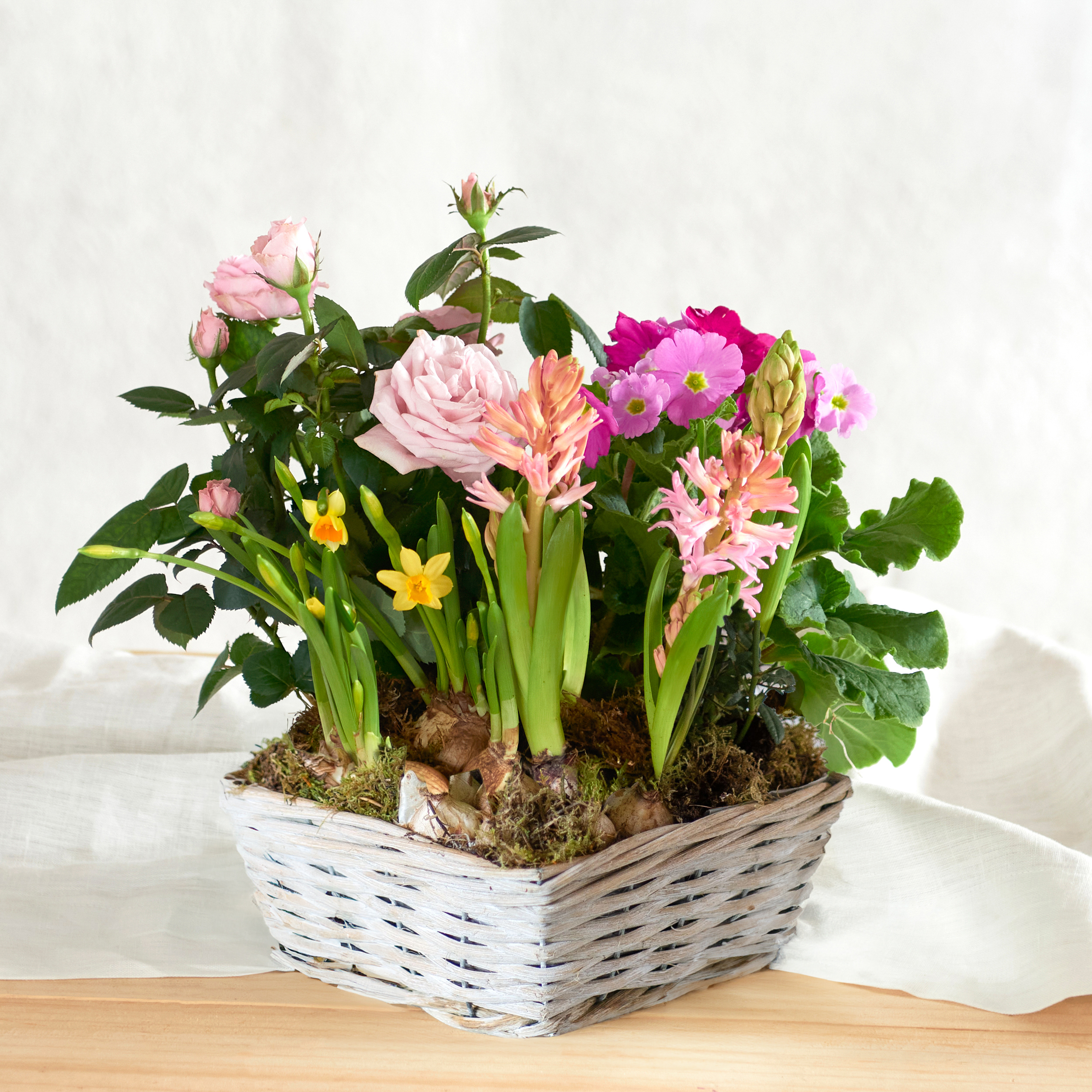 Bouquet de fleurs Composition de plantes