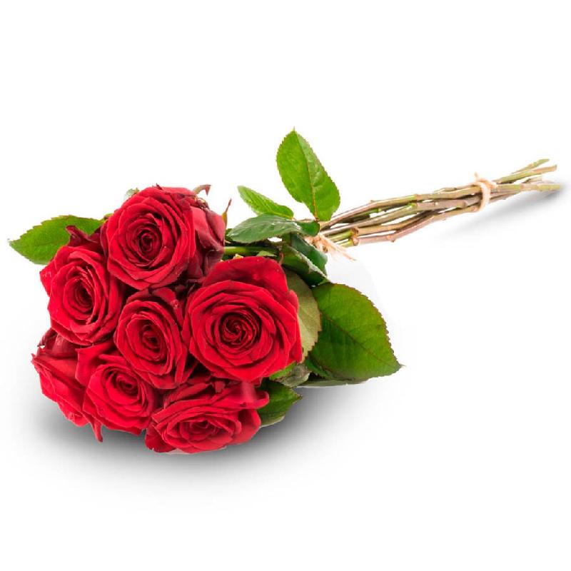 Bouquet de fleurs 7 red roses Bouquet de fleurs 7 red roses