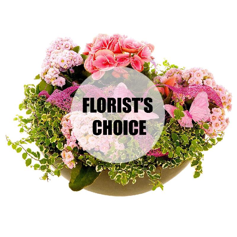 Bouquet de fleurs Florist's choice planting in a low bowl Bouquet de fleurs Florist's choice planting in a low bowl