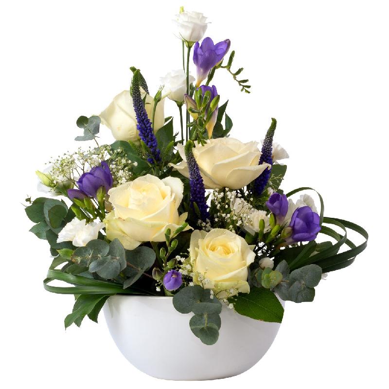 Bouquet de fleurs My condolences Bouquet de fleurs My condolences