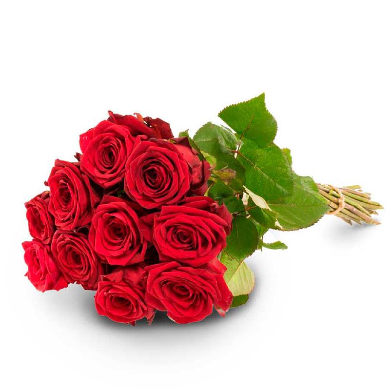Bouquet de fleurs 10 red roses Bouquet de fleurs 10 red roses