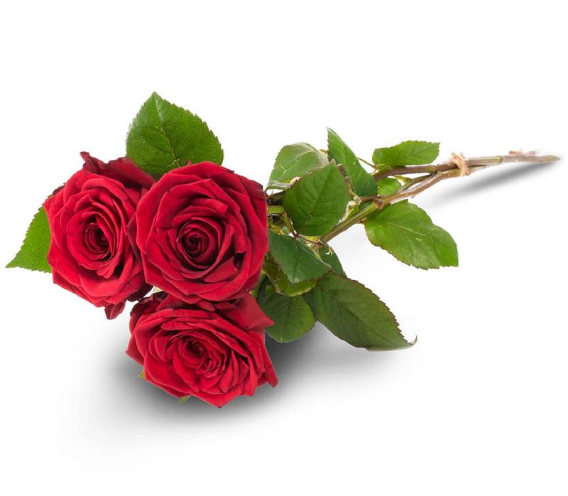 Bouquet de fleurs 3 red roses