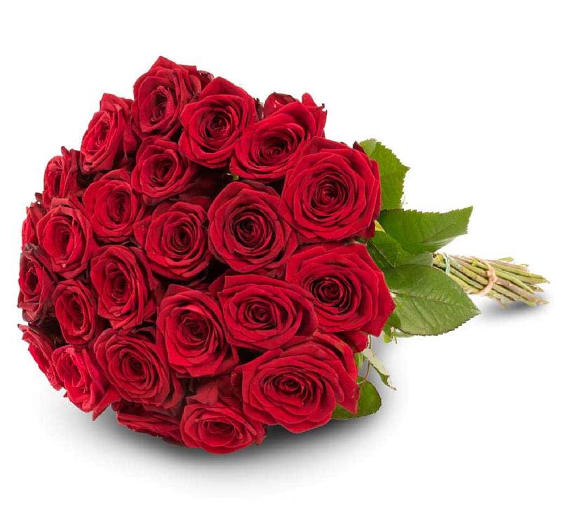 Bouquet de fleurs 24 red roses Bouquet de fleurs 24 red roses