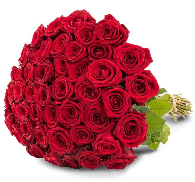 Bouquet de fleurs 50 red roses