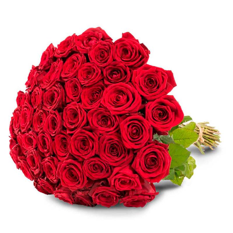 Bouquet de fleurs 50 red roses Bouquet de fleurs 50 red roses