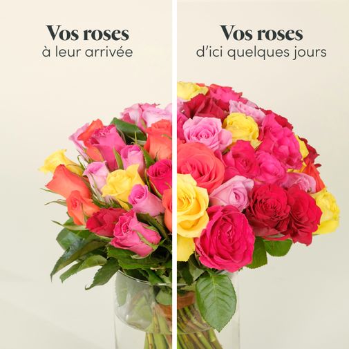 Bouquet de roses Brassée de roses multicolores Max Havelaar