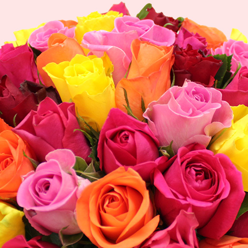 Bouquet de fleurs Brassée de roses multicolores et ses chocolats FAUCHON