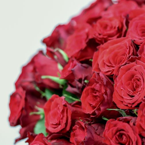 Bouquet de roses Brassée de roses rouges Max Havelaar