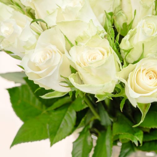 Bouquet de roses Brassée de roses blanches Max Havelaar