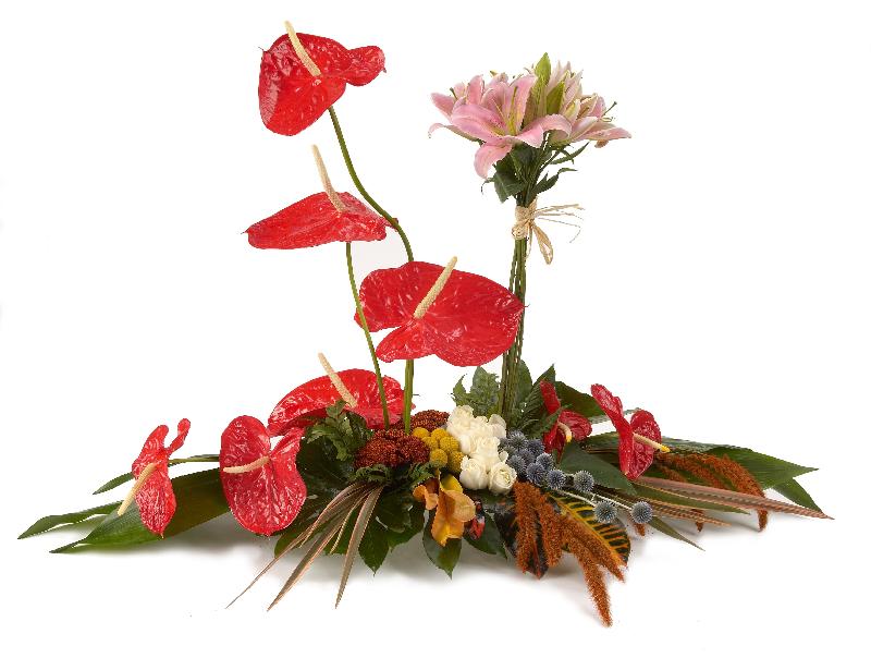 Bouquet de fleurs TROPICAL ARR Bouquet de fleurs TROPICAL ARR