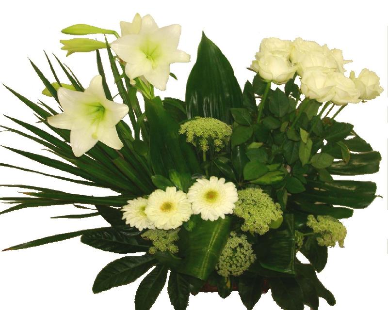 Bouquet de fleurs White Grizzly Bouquet de fleurs White Grizzly