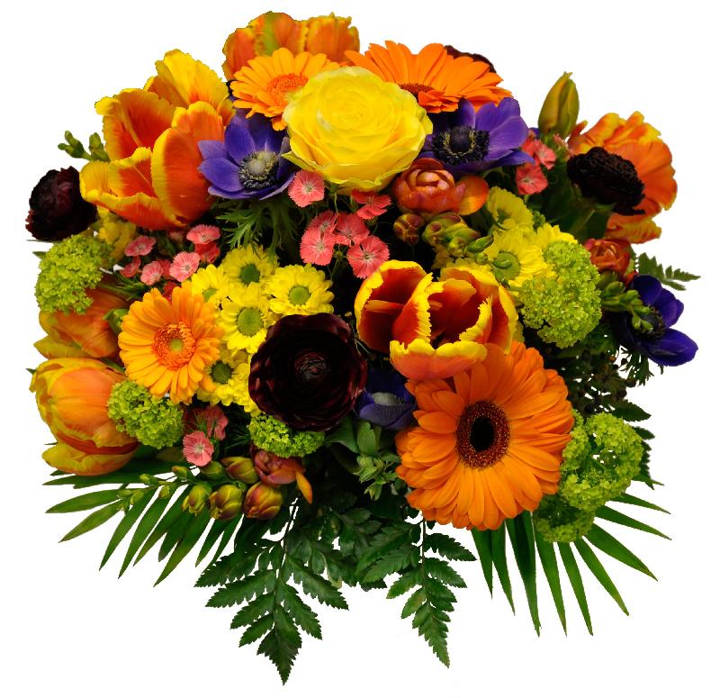 Bouquet de fleurs Paradiso Bouquet de fleurs Paradiso
