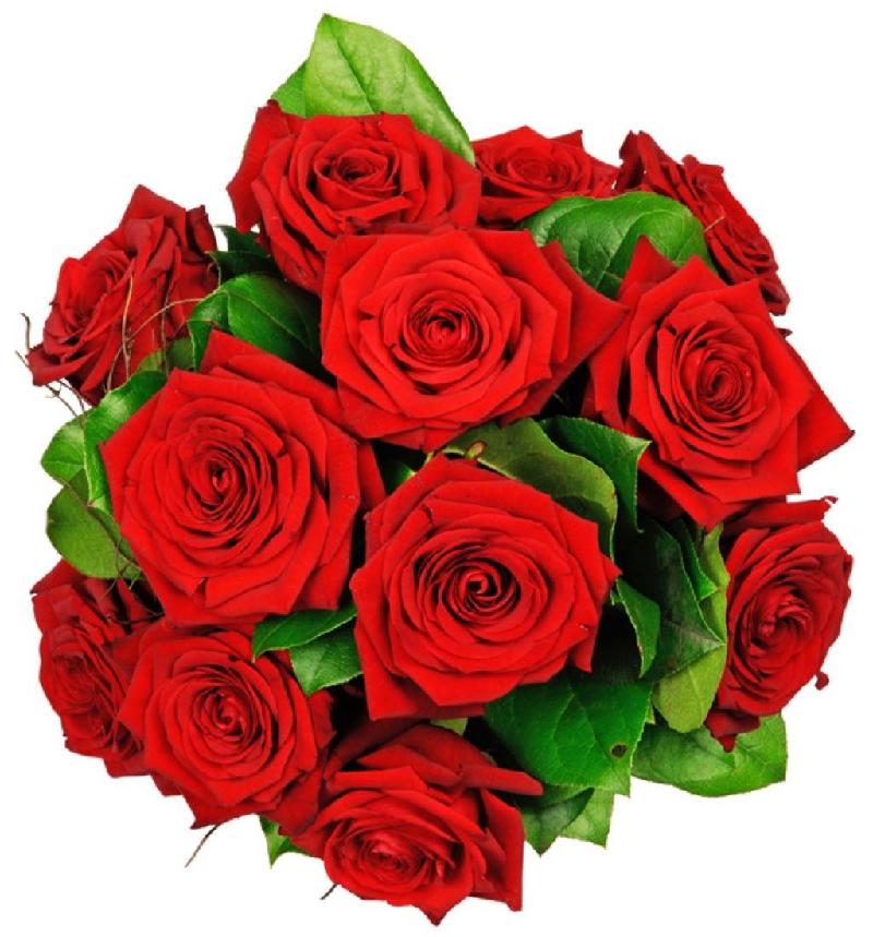 Bouquet de fleurs Tantalizing Bouquet de fleurs Tantalizing