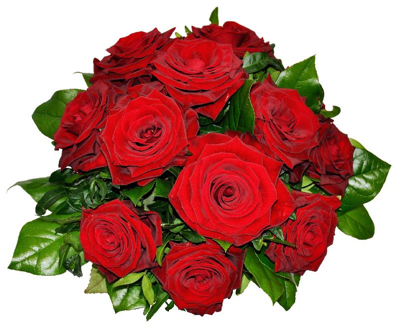 Bouquet de fleurs Tantalizing Red Roses