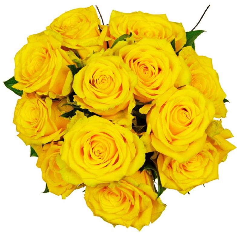 Bouquet de fleurs Affection Yellow Roses Bouquet de fleurs Affection Yellow Roses