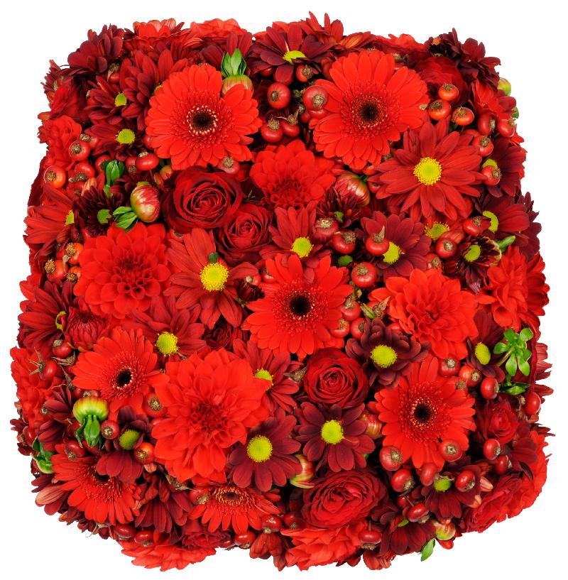 Bouquet de fleurs Devotion Bouquet de fleurs Devotion