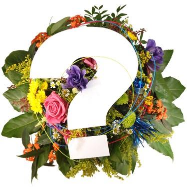 Bouquet de fleurs Seasonal Bouquet Happy Birthday Bouquet de fleurs Seasonal Bouquet Happy Birthday