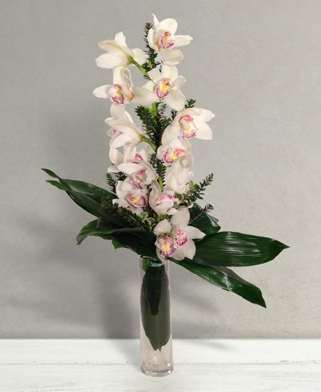 Bouquet de fleurs Venere Bouquet de fleurs Venere