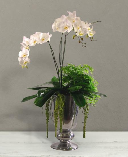 Bouquet de fleurs Rembrandt Bouquet de fleurs Rembrandt