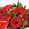 Bouquet de fleurs Rouge - wrapped