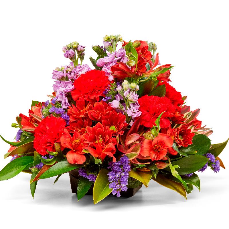 Bouquet de fleurs Aspiring Bouquet de fleurs Aspiring