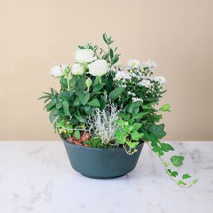 Fleurs deuil Lumineux souvenir Fleurs deuil Lumineux souvenir Deuil POMPES FUNEBRES
